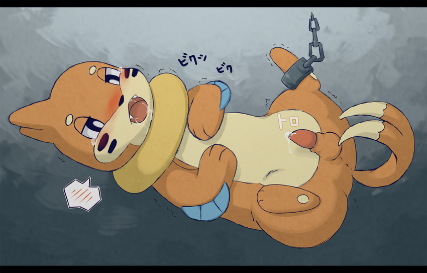 buizel pokemon tagme