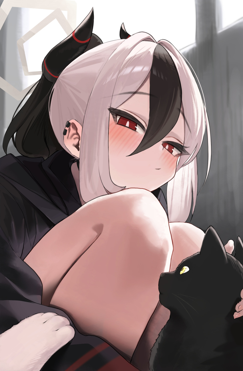 1girl absurdres animal black_cat black_choker black_hair black_hoodie black_horns blue_archive blurry blurry_background blush bright_pupils cat choker closed_mouth commentary day demon_horns earclip hair_between_eyes halo highres hood hood_down hoodie horns indoors kayoko_(blue_archive) long_bangs long_sleeves looking_at_animal looking_down multicolored_hair out_of_frame petting ponytail red_eyes se_tu_(55559229) short_hair solo squatting two-tone_hair upper_body white_hair white_pupils window