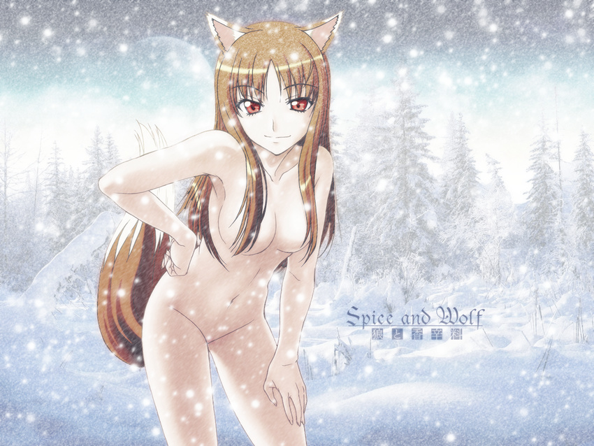 1girl animal_ears breasts brown_hair holo horo long_hair looking_at_viewer nude red_eyes smile snow solo spice_and_wolf tail wolf_ears