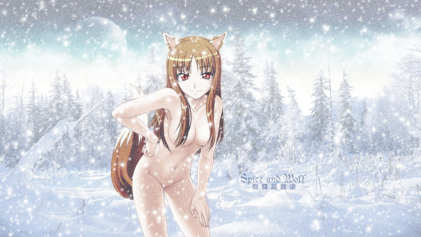 animal_ears brown_hair horo nude red_eyes snow spice_and_wolf tail