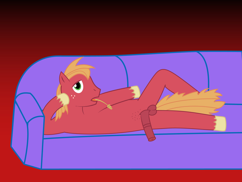 balls big_macintosh_(mlp) equine friendship_is_magic gay horse horsecock male mammal my_little_pony penis pony solo