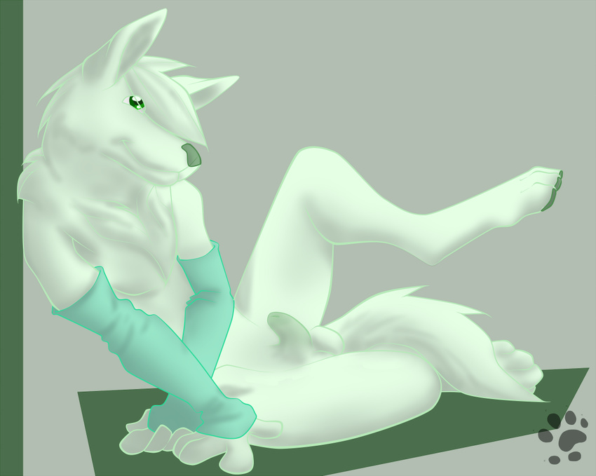 anthro arm_warmers balls canine fex girly green_eyes green_skin hair kitpup lionsilverwolf looking_at_viewer male mammal nude paws penis plain_background sheath solo spread_legs spreading tail wolf