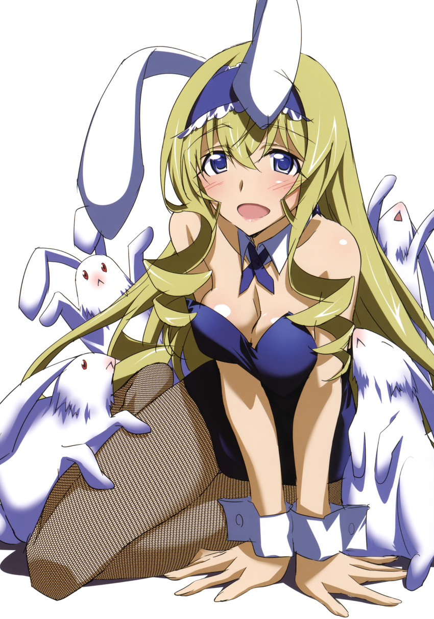 :&lt; absurdres animal_ears arm_support blue_leotard blush breasts bunny bunny_ears bunny_girl bunnysuit cecilia_alcott cleavage detached_collar doujinshi drill_hair fishnet_pantyhose fishnets headdress highres infinite_stratos kurashima_tomoyasu leotard long_hair looking_at_viewer medium_breasts no_shoes official_art open_mouth pantyhose solo wrist_cuffs
