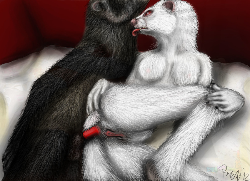 anthro duo female ferret foxia male mammal mustelid penis pussy sex straight