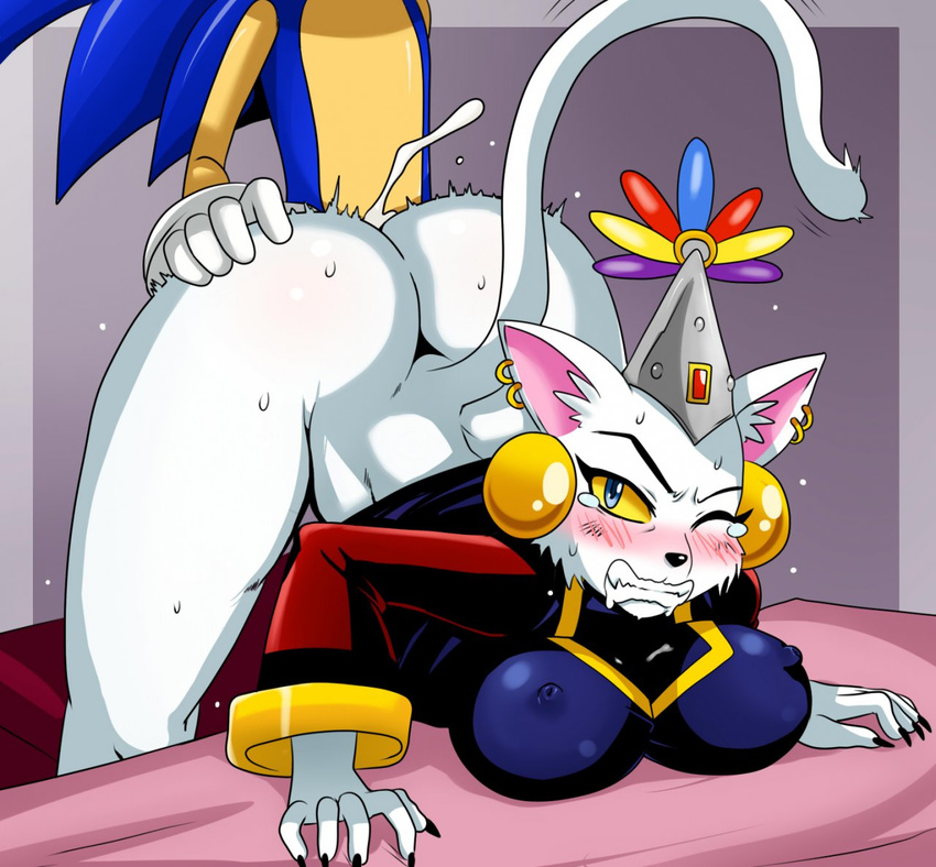 archie_comics big_butt breasts butt cum hedgehog queen_hathor sega sex sonic_(series) sonic_the_hedgehog sssonic2 tagme