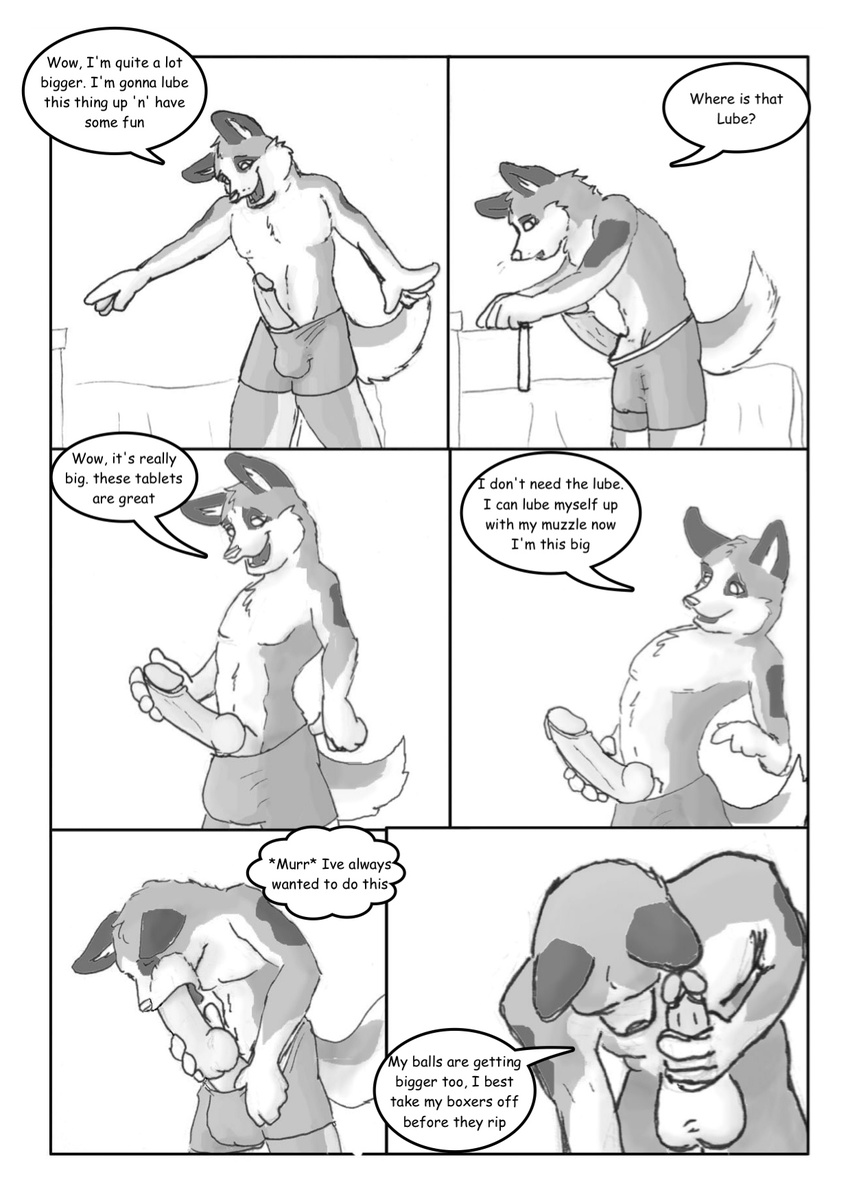 balls boxers canine cock_growth comic dialog dialogue english_text greyscale growth male mammal masturbation monochrome oral penis pills shaded solo text underwear unknown_artist