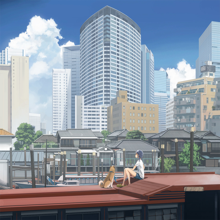 apartment architecture black_hair blue_sky boat building city cloud cloudy_sky crocs day dock dog east_asian_architecture highres kusakabe_(kusakabeworks) original photo-referenced pole real_world_location shiba_inu shirt short_hair shorts sitting sky solo tokyo_(city) tree twintails watercraft white_shirt