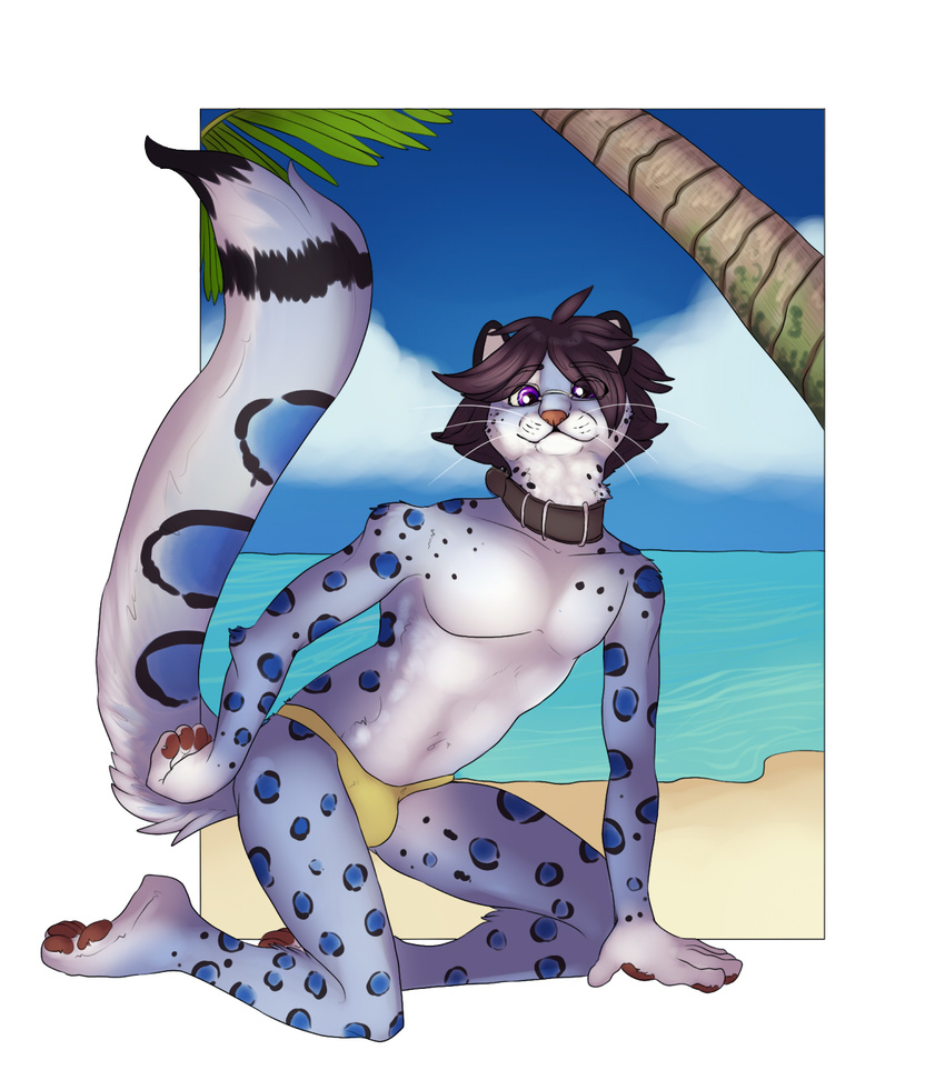 anthro beach blue blue_fur blue_sky bulge cat celestina clothed clothing collar eyewear feline fur glasses leopard looking_at_viewer male mammal nelson nelson_jenkins ocean outside palm_tree pose purple_eyes sand sea seaside skimpy snow_leopard solo speedo swimsuit taasla topless underwear water