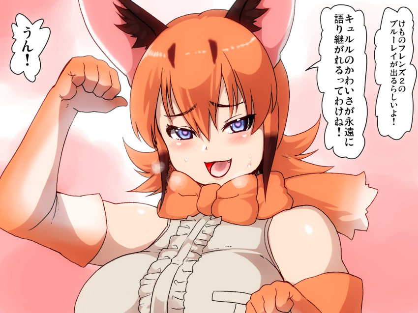 &lt;3 &lt;3_eyes :d animal_humanoid armwear big_breasts blue_eyes blush bow_tie breasts caracal_(kemono_friends) caracal_humanoid clothed clothing elbow_gloves fangs felid felid_humanoid feline feline_humanoid female gloves hair heavy_breathing humanoid isna japanese_text kemono_friends mammal open_mouth orange_hair shirt short_hair solo sweat sweatdrop text translated