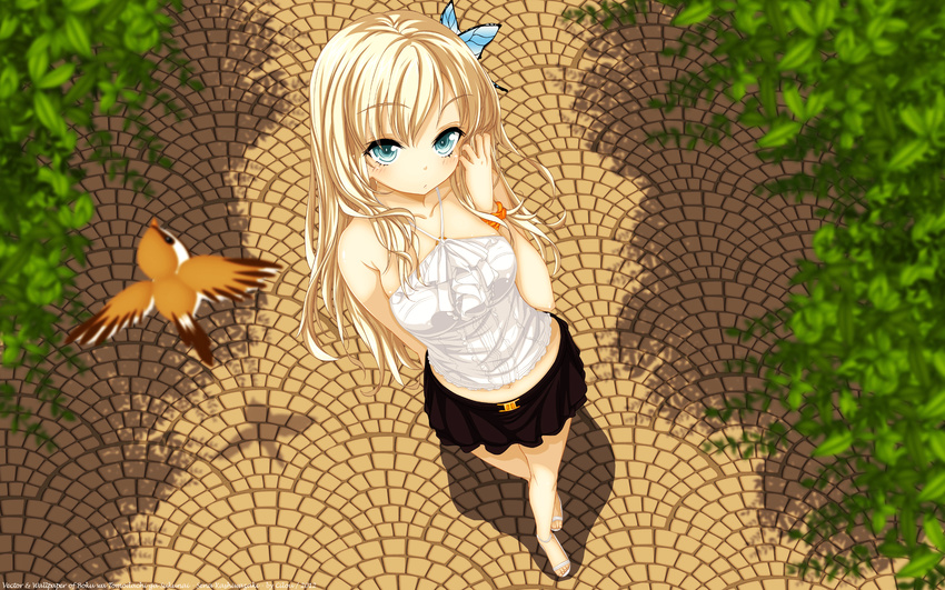 blonde_hair blue_eyes boku_wa_tomodachi_ga_sukunai butterfly cilou kashiwazaki_sena