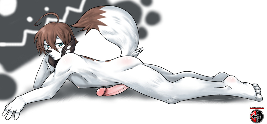 ahoge blue_eyes brown_hair butt canine dog hair kivwolf lying male mammal nipples nude on_front penis plain_background rigel solo white_background