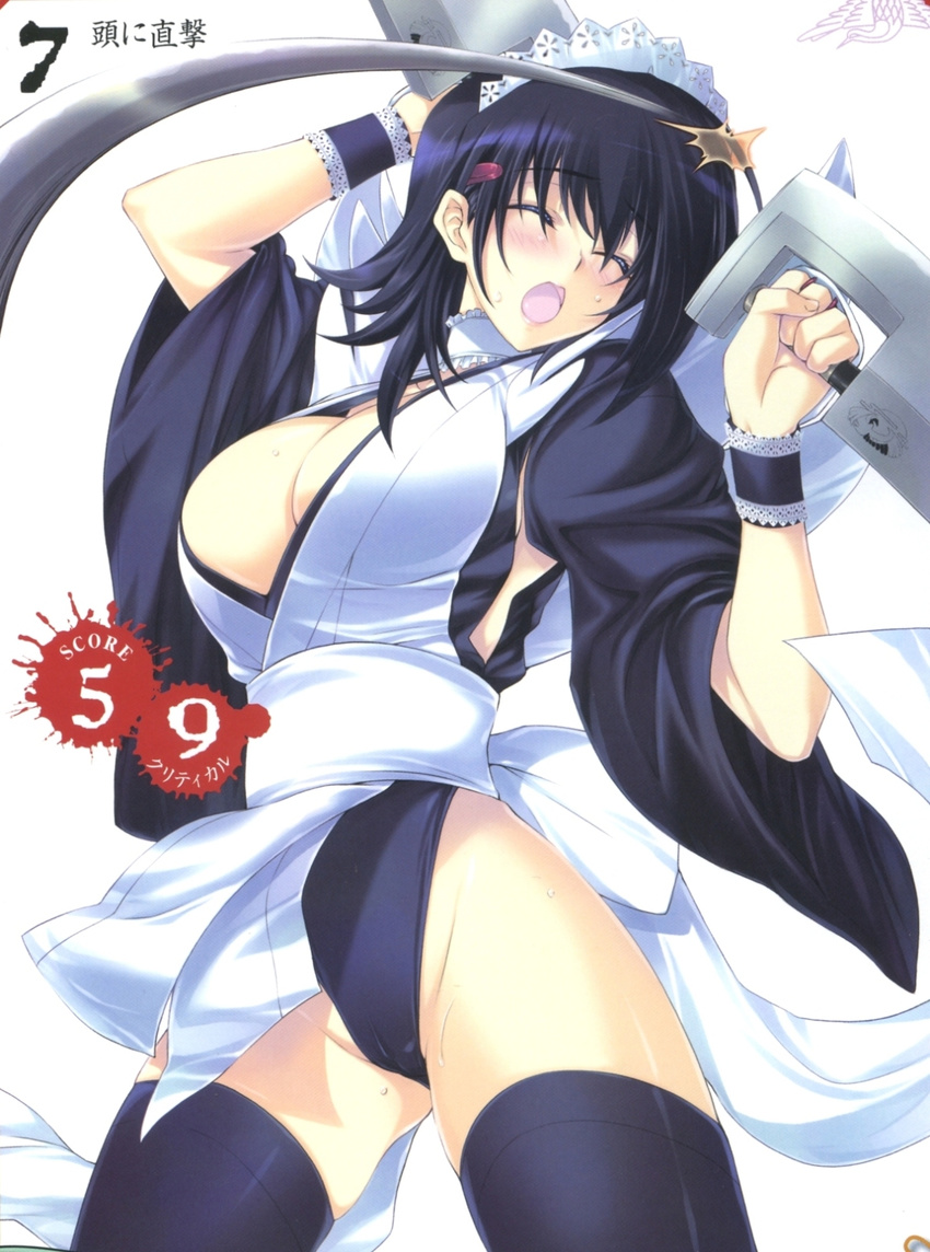 1girl breasts highres iroha iroha_(samurai_spirits) queen's_blade queen's_blade samurai_spirits