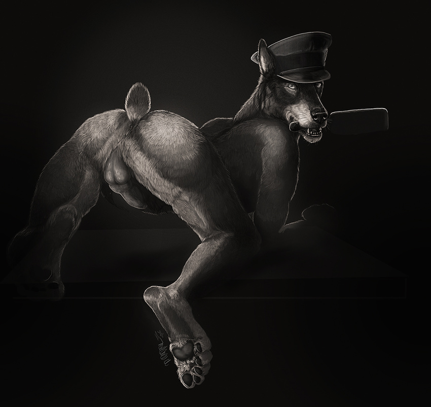 anthro anus balls butt canine doberman dog greyscale hat looking_at_viewer male mammal monochrome naughty paddle penis presenting presenting_hindquarters raikhan solo spanking teasing