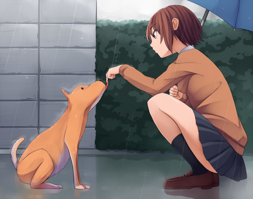 bad_id bad_pixiv_id black_legwear brown_eyes brown_hair dog holding kneehighs licking loafers original pinkwaters pleated_skirt profile rain school_uniform shoes short_hair skirt solo squatting tongue umbrella water wet