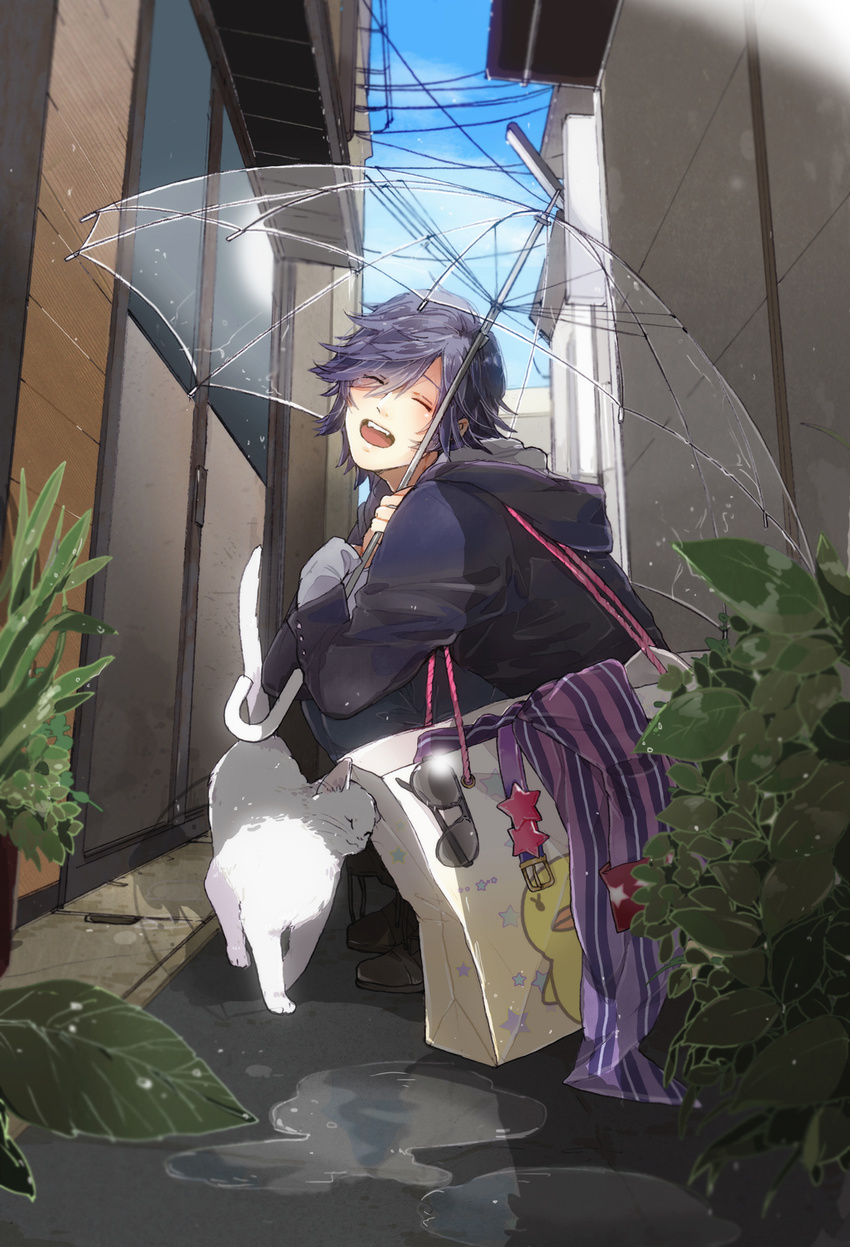 :d bad_id bad_pixiv_id bag belt blue_hair cat closed_eyes highres holding ichinose_tokiya male_focus open_mouth puddle simekirikowai smile solo star sunglasses transparent transparent_umbrella umbrella uta_no_prince-sama wet