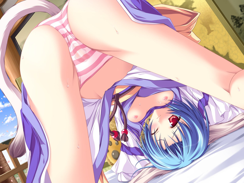 animal_ears blue_hair breasts cherry_blossoms doggirl game_cg haruhi_sarasa inakoi nipples panties red_eyes short_hair sky striped_panties tail tenmaso underwear wet