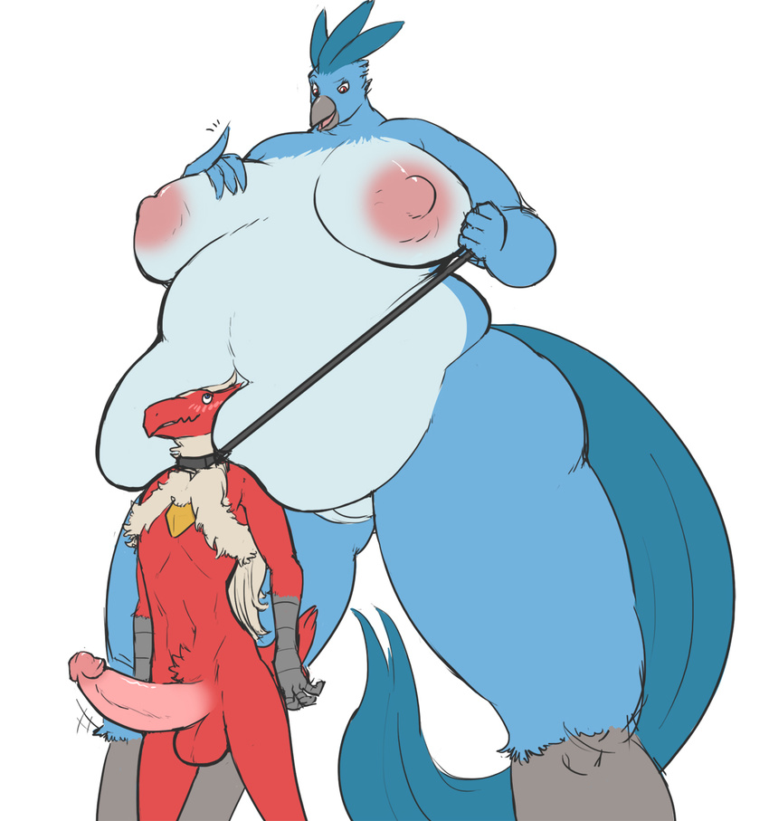 anthro articuno avian balls beak big_breasts big_penis blaziken blush breasts chubby collar duo erection female leash legendary_pok&#233;mon male nintendo nipples overweight penis plain_background pok&#233;mon pokemon pussy ritts size_difference video_games white_background