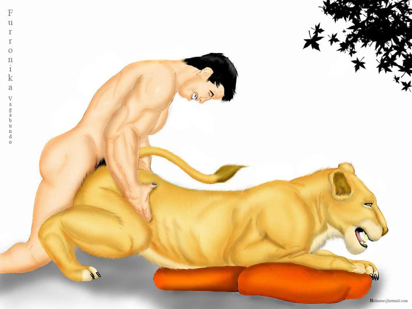bestiality black_hair doggy_position doggystyle feline female feral from_behind furronika hair human human_on_feral interspecies lion male mammal nude penetration sex straight
