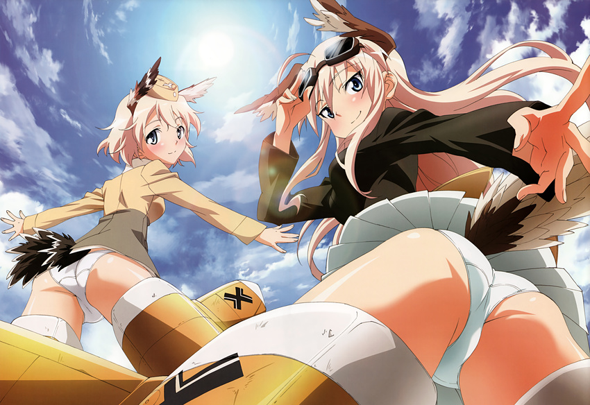 absurdres animal_ears ass bird_tail blue_eyes blush goggles goggles_on_head hand_on_goggles hanna-justina_marseille hat head_wings highres long_hair looking_at_viewer looking_back military military_uniform multiple_girls no_pants nyantype official_art panties pink_hair raisa_pottgen scan short_hair strike_witches striker_unit sun tail underwear uniform white_panties world_witches_series yamamoto_shuuhei