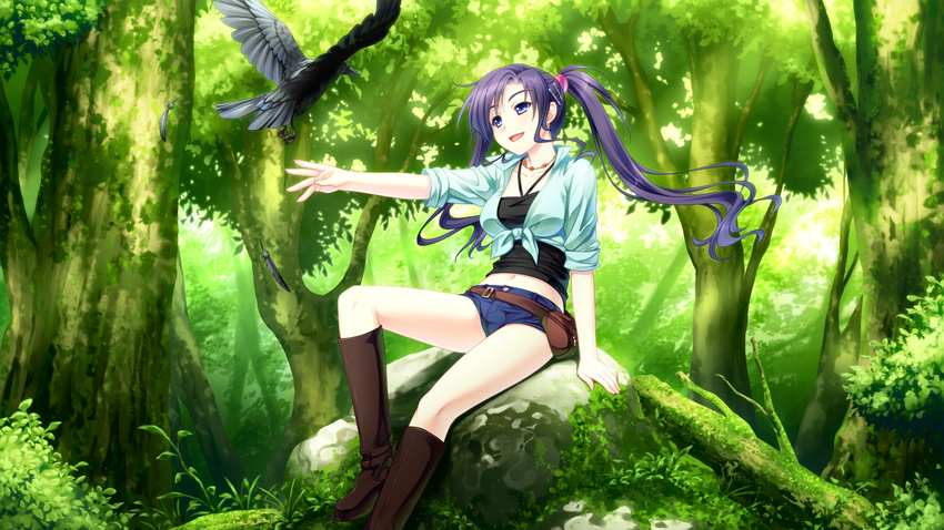 akatsuki-works and animal bird boots forest game_cg long_hair necklace ponytail saeki_hokuto tree