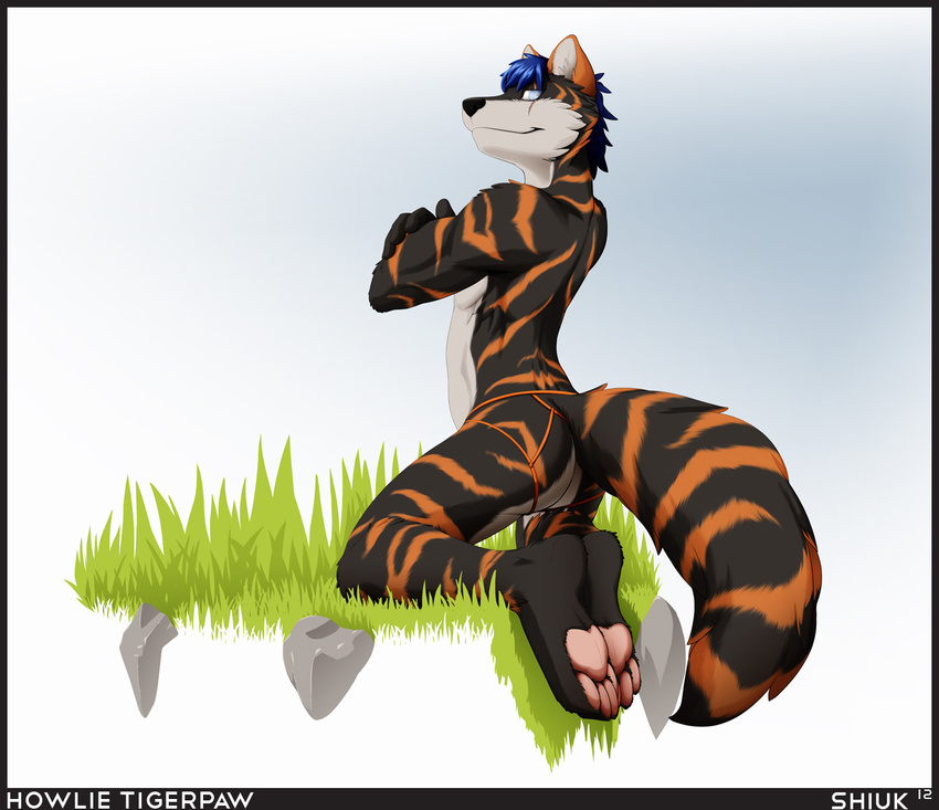 blue_hair butt canine feline grass hair half_blind hindpaw howlie_tigerpaw hybrid kneeling looking_at_viewer looking_back male mammal pawpads paws scar shiuk short_hair smile solo stripes thong tiger wolf