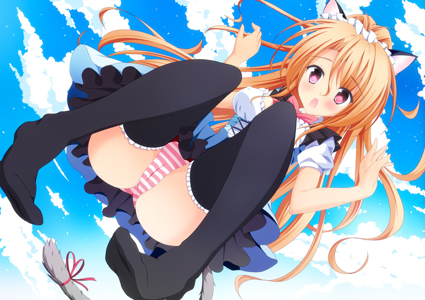 animal_ears azure_(capriccio) cameltoe pantsu shimapan tail thighhighs