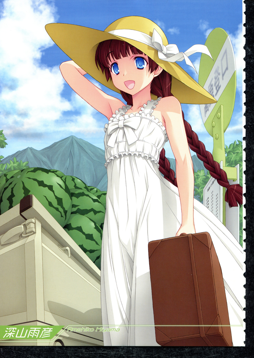 1boy :d absurdres blue_eyes bow braid brown_hair bulge cloud clouds crossdressing dress food fruit hat highres long_hair male male_focus miyama_amehiko mountain open_mouth oto_nyan penis ribbon sign sky small_penis smile solo suitcase trap watermelon