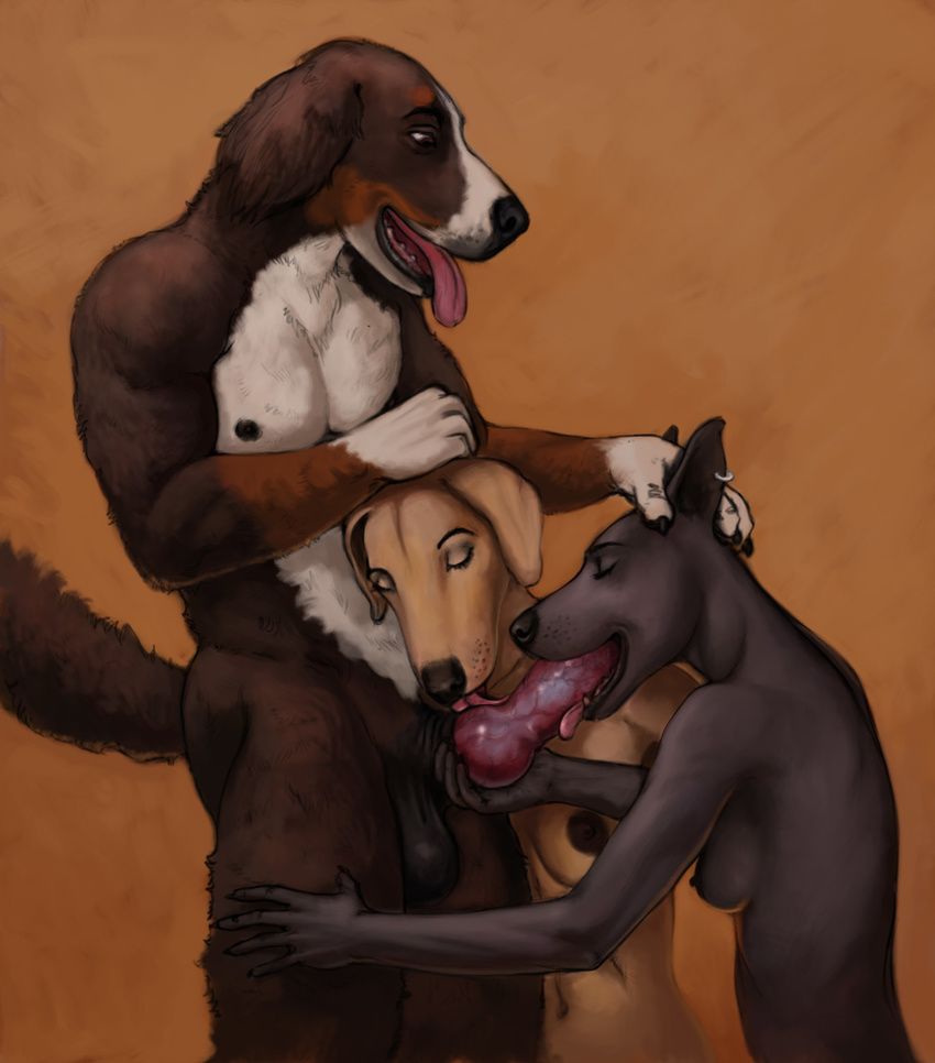 anthro balls bernese_mountain_dog big breasts canine canine_penis dog eyes_closed fellatio female knot licking male mammal morticus nipples oral oral_sex penis piercing sex straight sucking tongue tongue_out