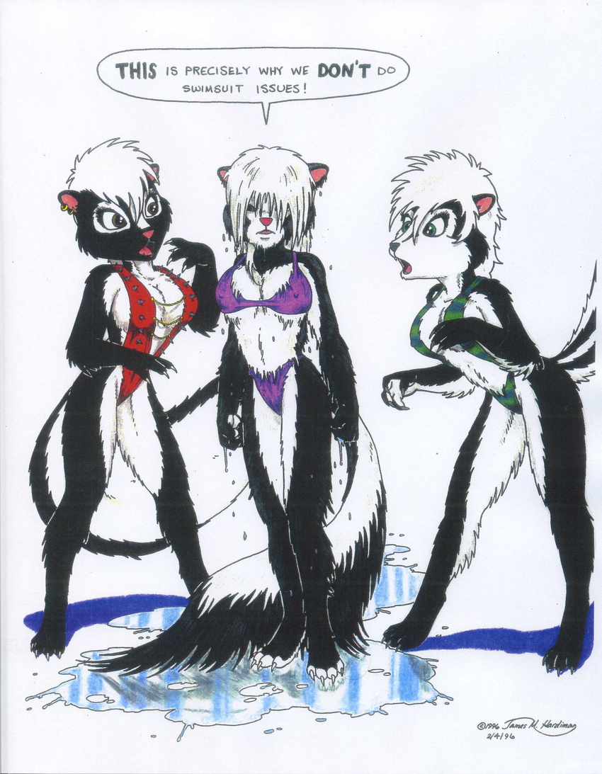 bikini blue_eyes clothed clothing dialog dialogue ear_piercing english_text female green_eyes james_m_hardiman lori_(jmh) mammal natasha_(jmh) one-piece_swimsuit onyx_(jmh) piercing sibling siblings sisters skimpy skunk standing swimsuit text tight_clothing wet