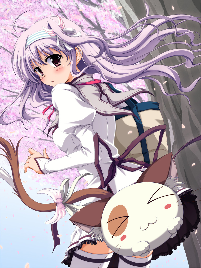 amaha_miu bad_id bad_pixiv_id cat highres long_hair mashiroiro_symphony pan-nya purple_eyes purple_hair shira-nyoro solo thighhighs