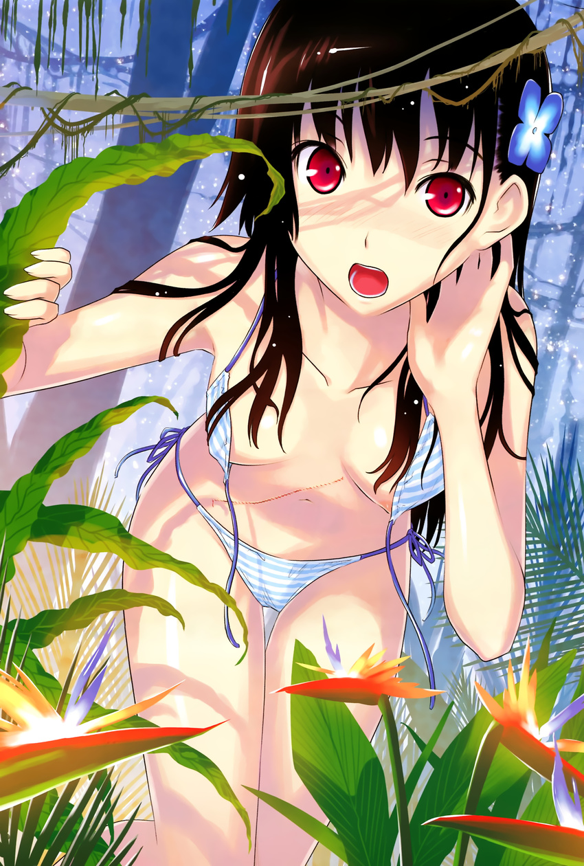 areola bikini detexted hattori_mitsuru sanka_rea sankarea swimsuits wardrobe_malfunction