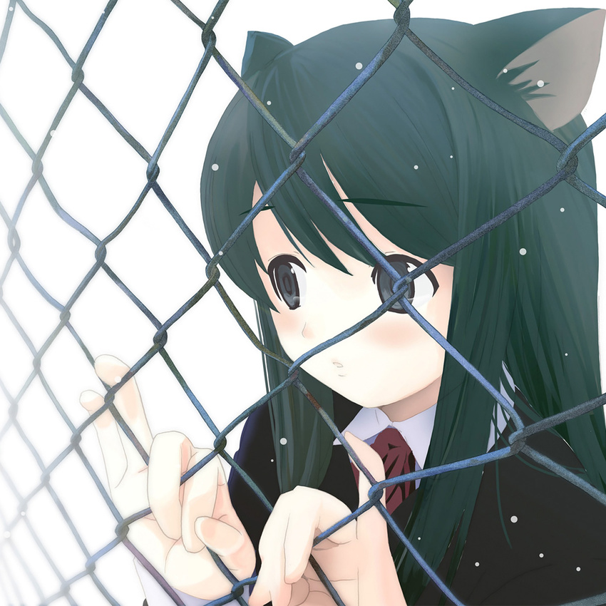 animal_ears black_hair blue_eyes blush cat_ears chain-link_fence close-up duplicate fence green_hair highres houmitsu looking_through_fence original ribbon school_uniform snow solo wallpaper