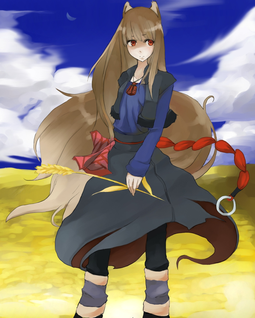 animal_ears brown_hair highres holo long_hair red_eyes solo spice_and_wolf tail tansuke wheat wolf_ears