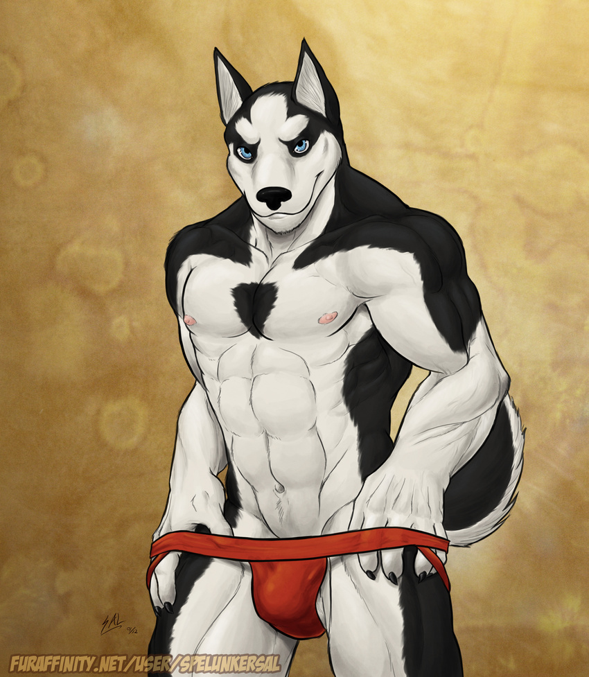 abs beige_background biceps big_muscles bipedal black_fur black_nails blue_eyes bulge canine countershade_tail digital_painting_(art) dog ear_fluff ears_up front front_view fur hi_res husky jockstrap looking_at_viewer male mammal muscles naughty_face navel nipples panty_pull pecs pink_nipples pointy_ears red_panties smile smug solo spelunker_sal standing stare three-quarter_portrait three-quarter_view topless underwear undressing white_countershading white_fur