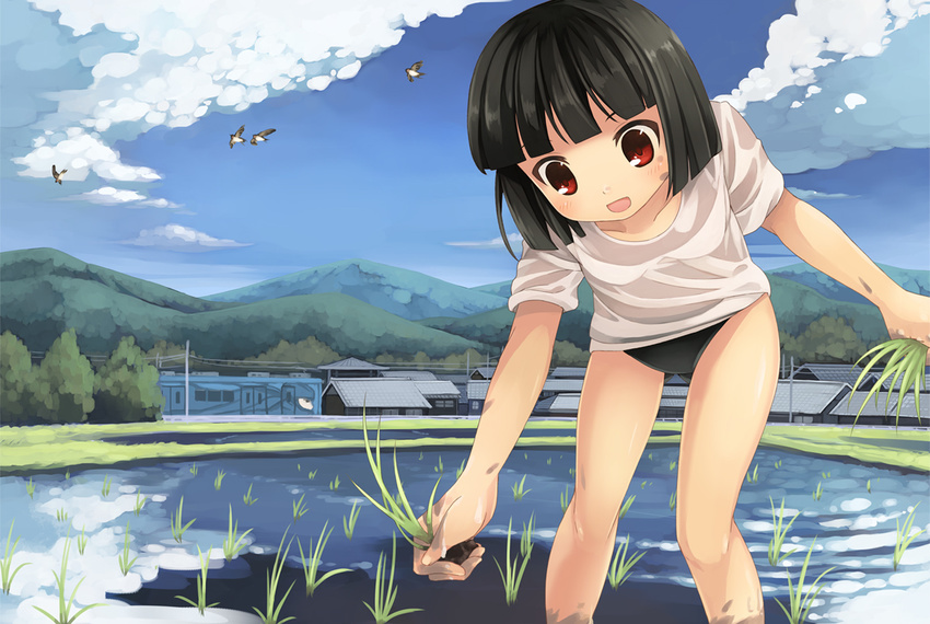 :d akemiho_tabi_nikki bird black_hair black_panties blue_sky blush brown_eyes buruma cloud day fukube_tamaki kouno_hikaru mountain open_mouth panties rice_planting see-through shirt short_hair sky smile solo town underwear