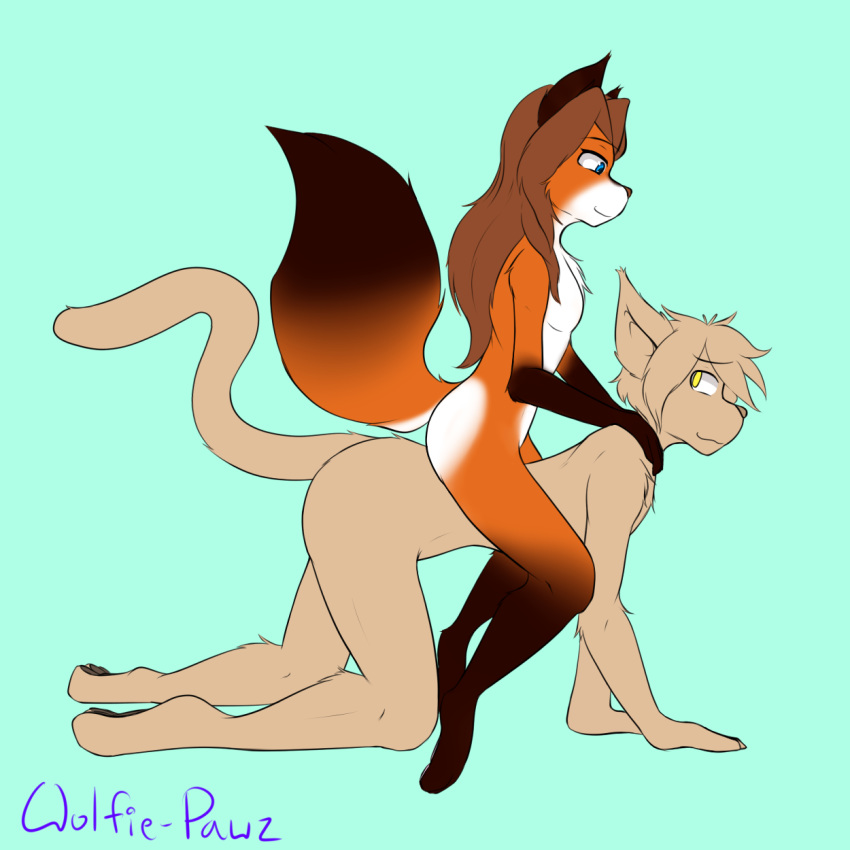all_fours anthro basitin biped blue_background breasts brown_hair canid canine cheek_tuft chest_tuft digital_media_(artwork) digitigrade dipstick_tail duo elbow_tufts eyebrows featureless_breasts female fox fur gloves_(marking) hair humanoid_hands keidran keith_keiser laura_(twokinds) looking_back male male/female mammal markings multicolored_tail nude pawpads riding signature simple_background small_breasts socks_(marking) tan_fur tuft twokinds wolfie-pawz