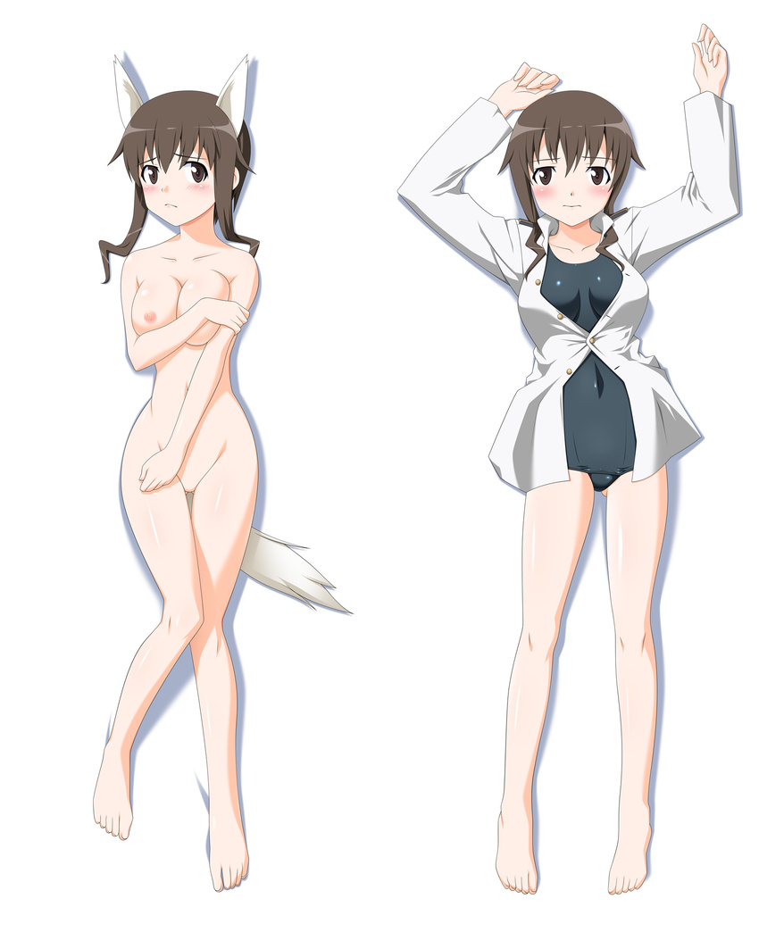 animal_ears bare_legs blush breasts brown_eyes brown_hair highres large_breasts nipples nude school_swimsuit short_hair solo strike_witches swimsuit swimsuit_under_clothes tail takasugi_rinko takei_junko uniform wolf_ears world_witches_series