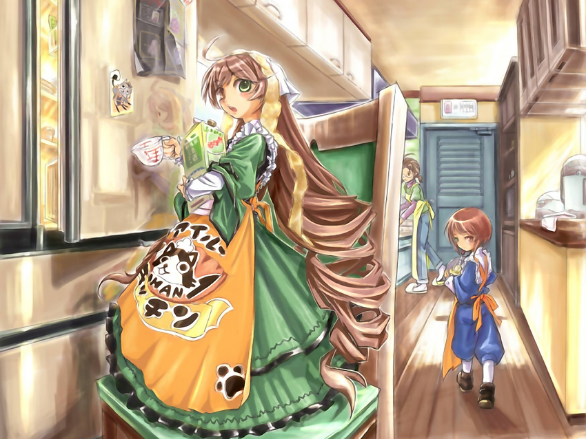 bicolored_eyes brown_hair rozen_maiden souseiseki suiseiseki