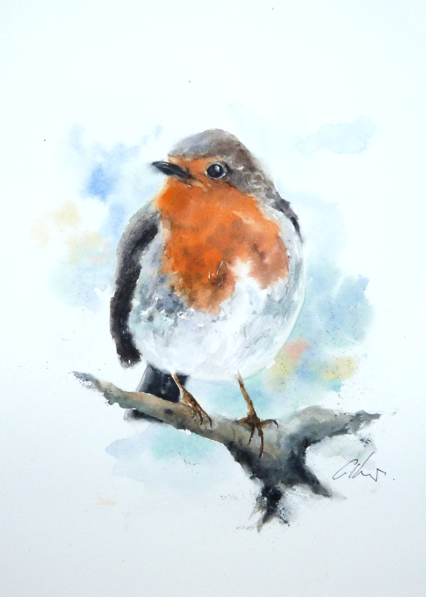 absurdres animal_focus bird branch commentary day english_commentary full_body graham_kemp highres looking_at_viewer no_humans original outdoors painting_(medium) realistic robin_(bird) signature sitting traditional_media watercolor_(medium)