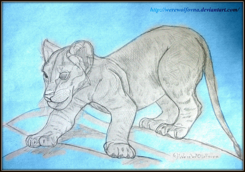 blue feline lines lion mammal pencil plain_background simple sketch small strokes werewolfovna young