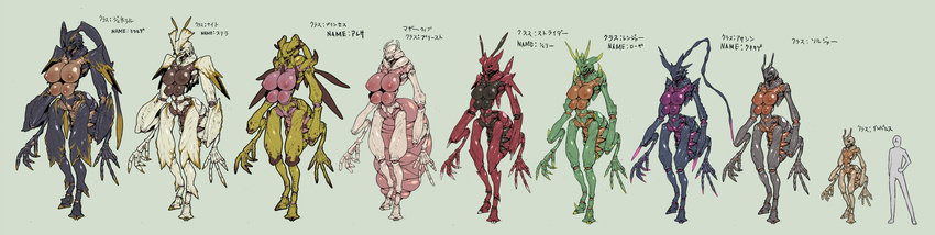 antenna antennae breasts chart dokumushi furry highres insect insect_girl large_breasts long_image multi_breast multiple_girls nipples size_difference standing translation_request veins veiny_breasts wide_image