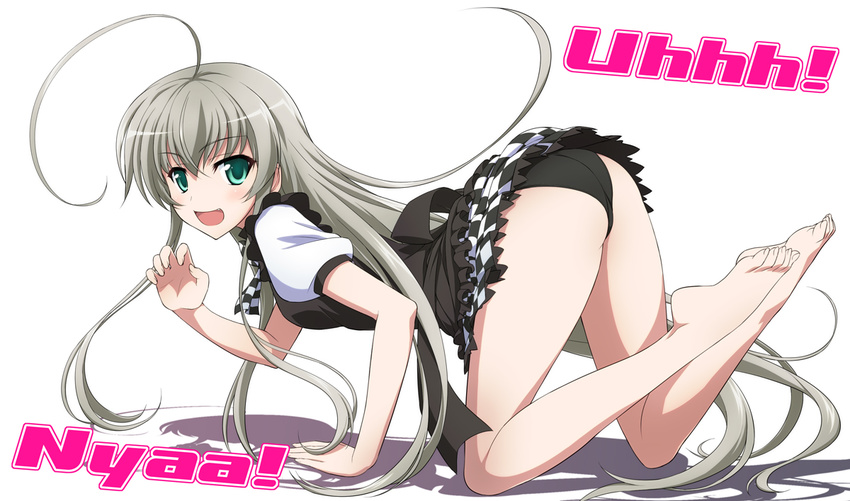 ahoge all_fours ass bare_legs barefoot black_panties fang feet green_eyes haiyore!_nyaruko-san huge_ahoge ishigaki_takashi long_hair nyarlathotep_(nyaruko-san) open_mouth panties paw_pose shirt silver_hair skirt skirt_lift smile solo taiyou_iwaku_moe_yo_chaos toes underwear