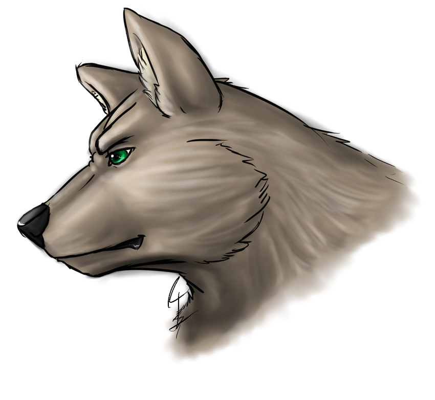 brown_fur bust canine fur green_eyes ishigray mammal plain_background solo were werewolf white_background wolf