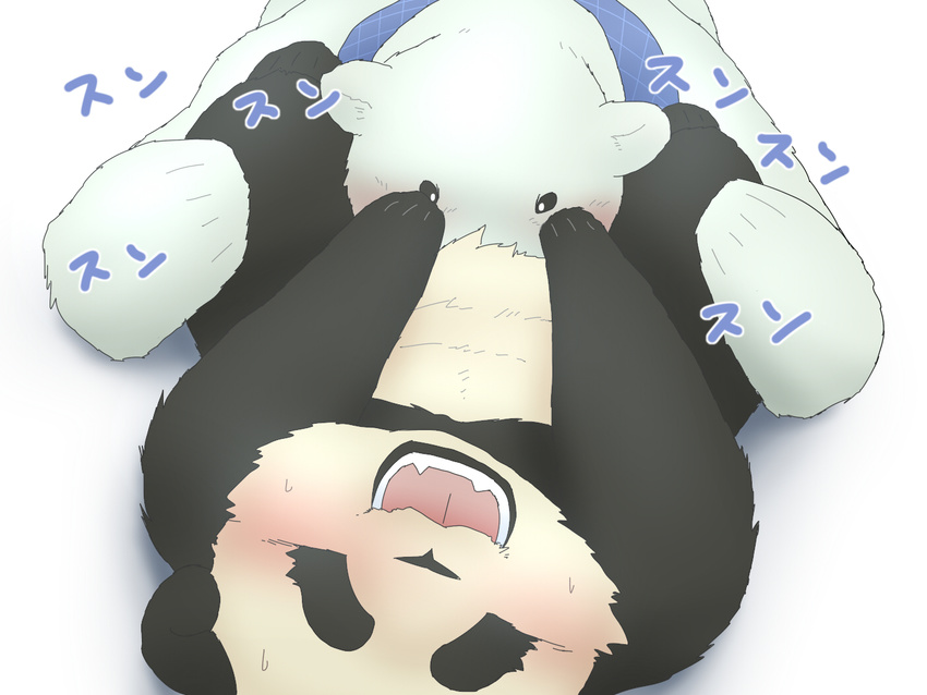 bear blush chubby duo gay kemono male mammal okatana open_mouth oral panda polar_bear sex shirokuma shirokuma_cafe unknown_artist