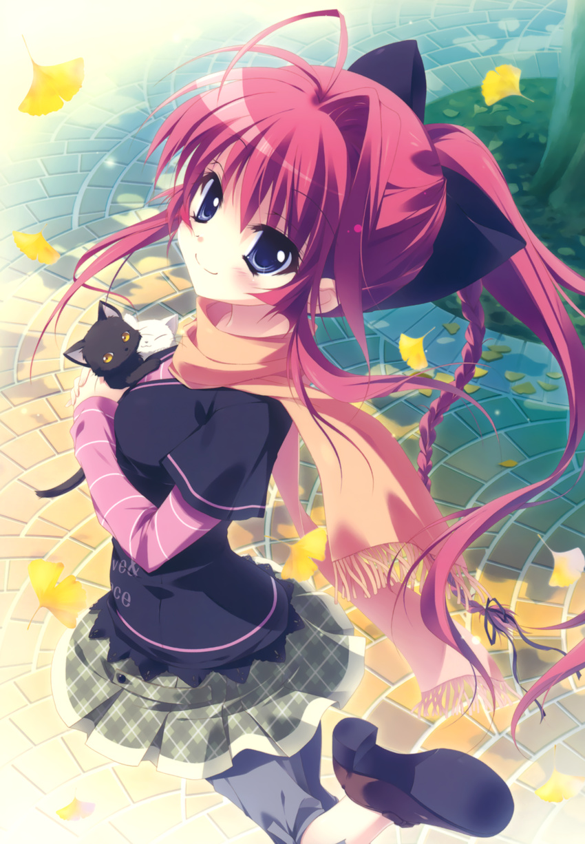 inui_sana izumi_tsubasu mashiroiro_symphony tagme