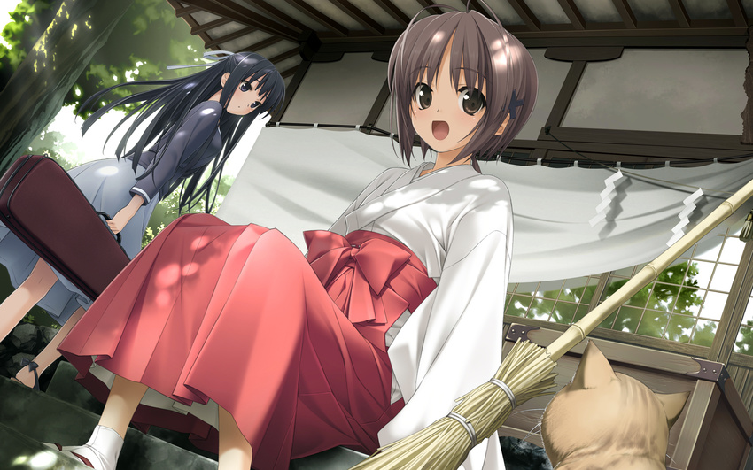 amatsume_akira antenna_hair black_eyes black_hair broom brown_eyes brown_hair cat dress dutch_angle hair_ornament hair_ribbon hashimoto_takashi highres instrument_case japanese_clothes long_hair looking_at_viewer migiwa_kazuha miko multiple_girls ribbon short_hair smile tabi wallpaper yosuga_no_sora