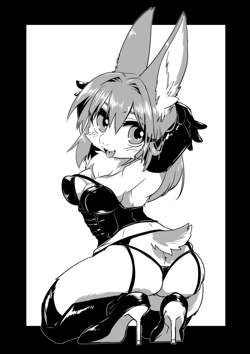 anthro armwear big_ears blush boots breasts butt chest_tuft cleavage clothed clothing corset elbow_gloves female footwear gloves greyscale hair high_heels inner_ear_fluff kemono legwear lingerie long_hair mammal monochrome panties shoes thigh_high_boots tongue tongue_out tuft underwear unknown_species たぬたん