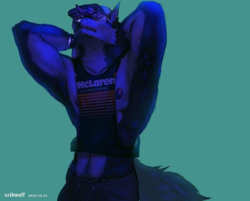 2022 acidwuff anthro armpit_hair artist_name blue_theme body_hair canid cheek_tuft clothed clothing dated facial_piercing facial_tuft front_view half-length_portrait hands_behind_head happy_trail hat headgear headwear hi_res male mammal mouth_closed nipples nose_piercing nose_ring piercing portrait ring_piercing septum_piercing septum_ring simple_background solo standing tuft