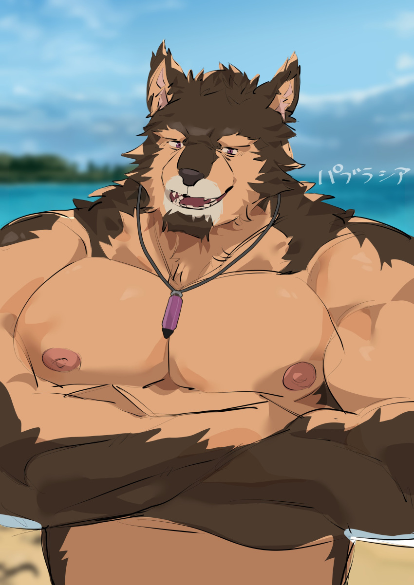 absurd_res anthro biceps brown_body brown_fur canid canine canis clothed clothing domestic_dog fur hi_res lifewonders live_a_hero male mammal muscular muscular_anthro muscular_male nipples pecs pubraseer route050703 solo solon topless