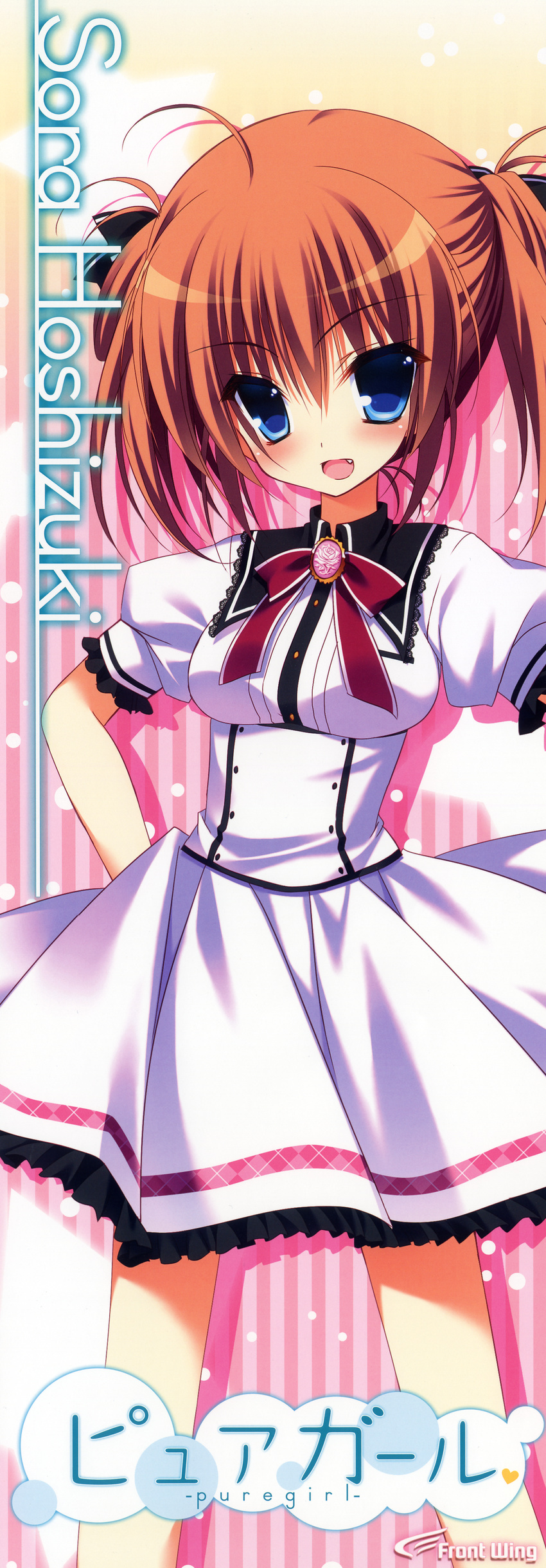 front_wing hoshizuki_sora nanaca_mai pure_girl seifuku stick_poster